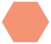 icon-hexagon-salmon